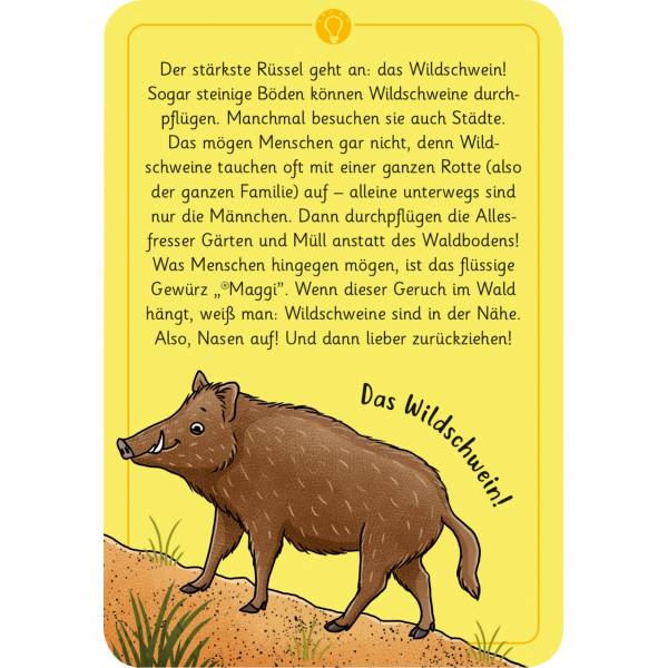 Moses Kartenspiel 50 wundersame Tierrtsel - Wald