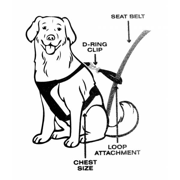 Hunde-Geschirr Travel & Exercise Harness