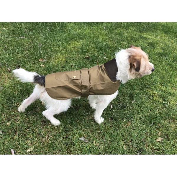 Lightweight Wax Dog Coat