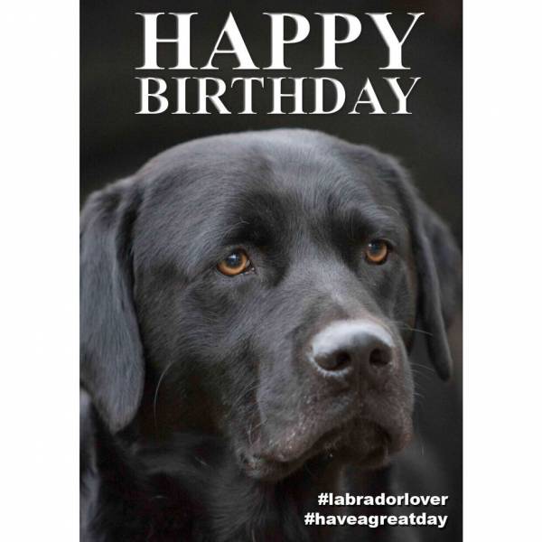 Geburtstags-Klappkarte Black Labrador, Format A5 mit Umschlag