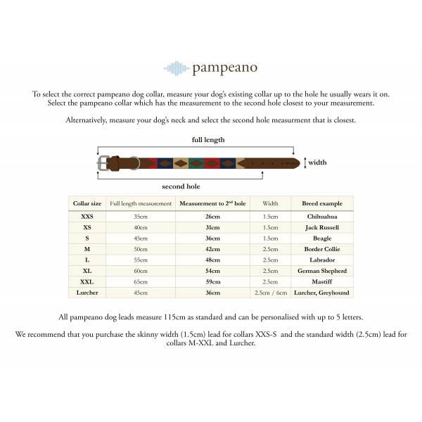 Pampeano Lederhalsband, Farbe Caza L