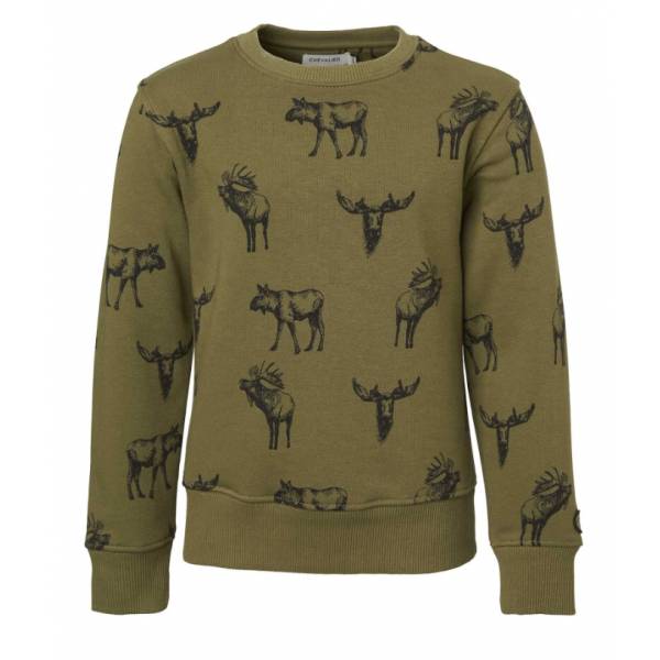 Chevalier Kinder Pullover Moose, Farbe Forest Green 140