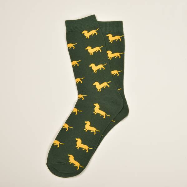 Grüne Socken, Dackel in Gelb