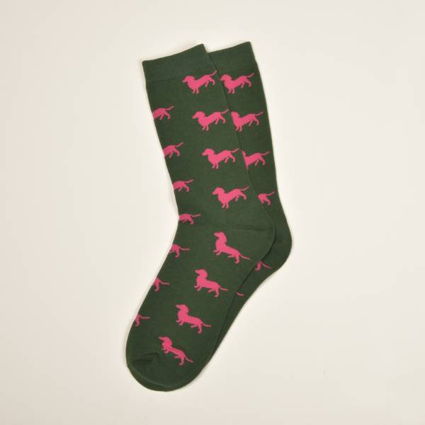 Grüne Socken, Dackel in Pink