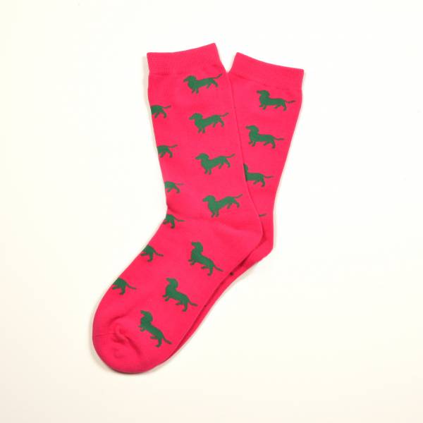 Pinke Socken, Dackel in Grün