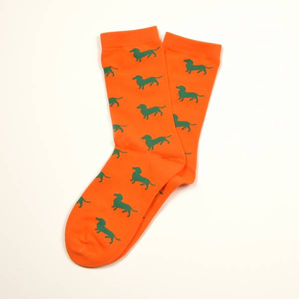 Orange Socken, Dackel in Grün