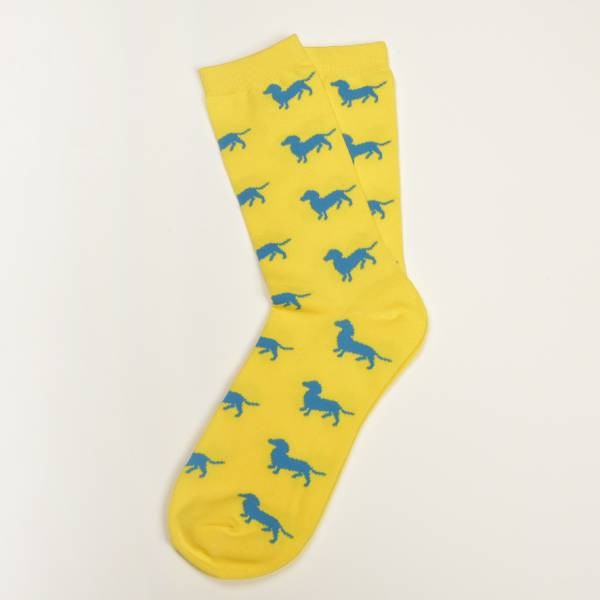 Gelbe Socken, Dackel in Blau 36-40