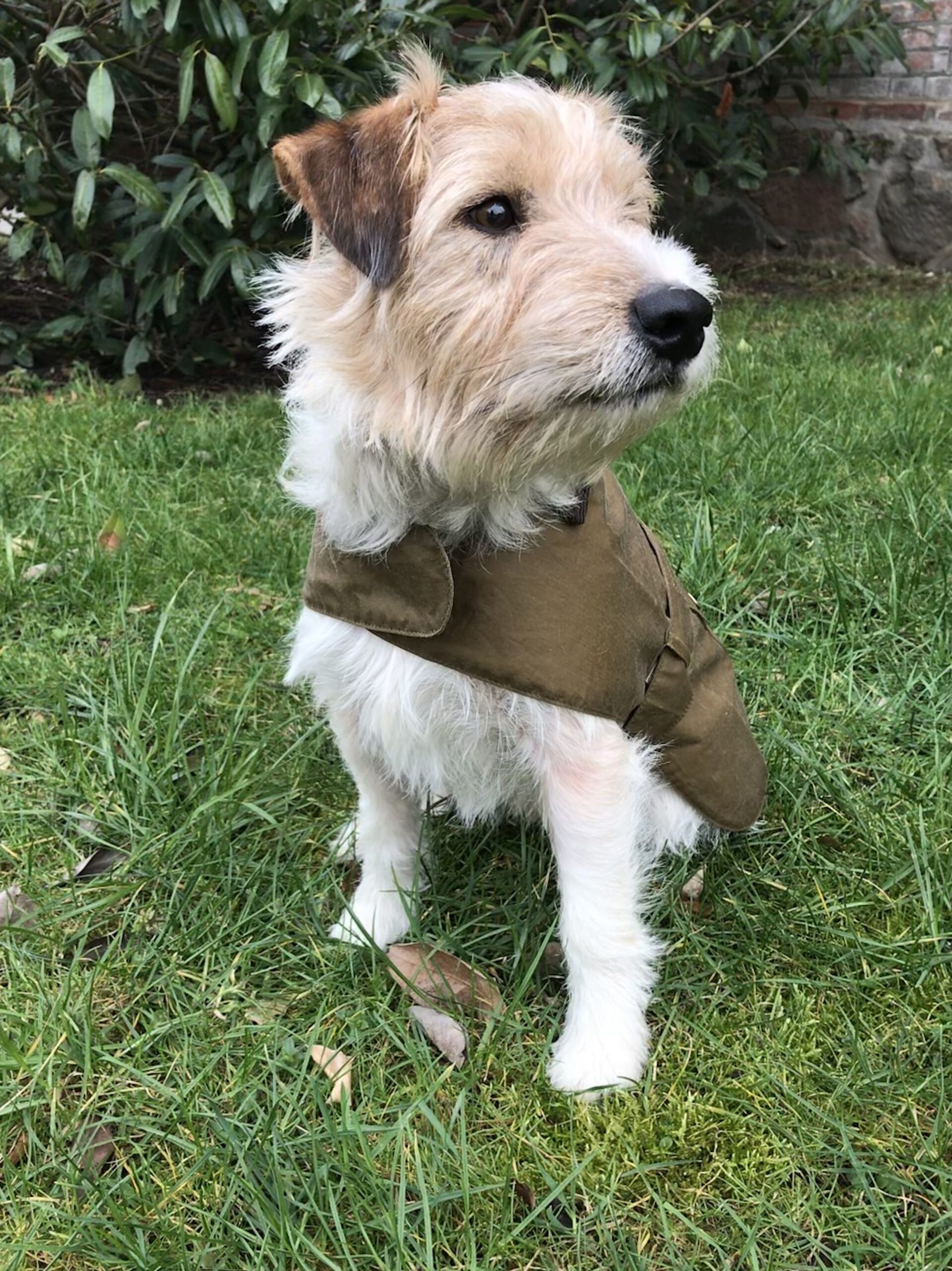 Barbour Hundemantel Lightweight Wax