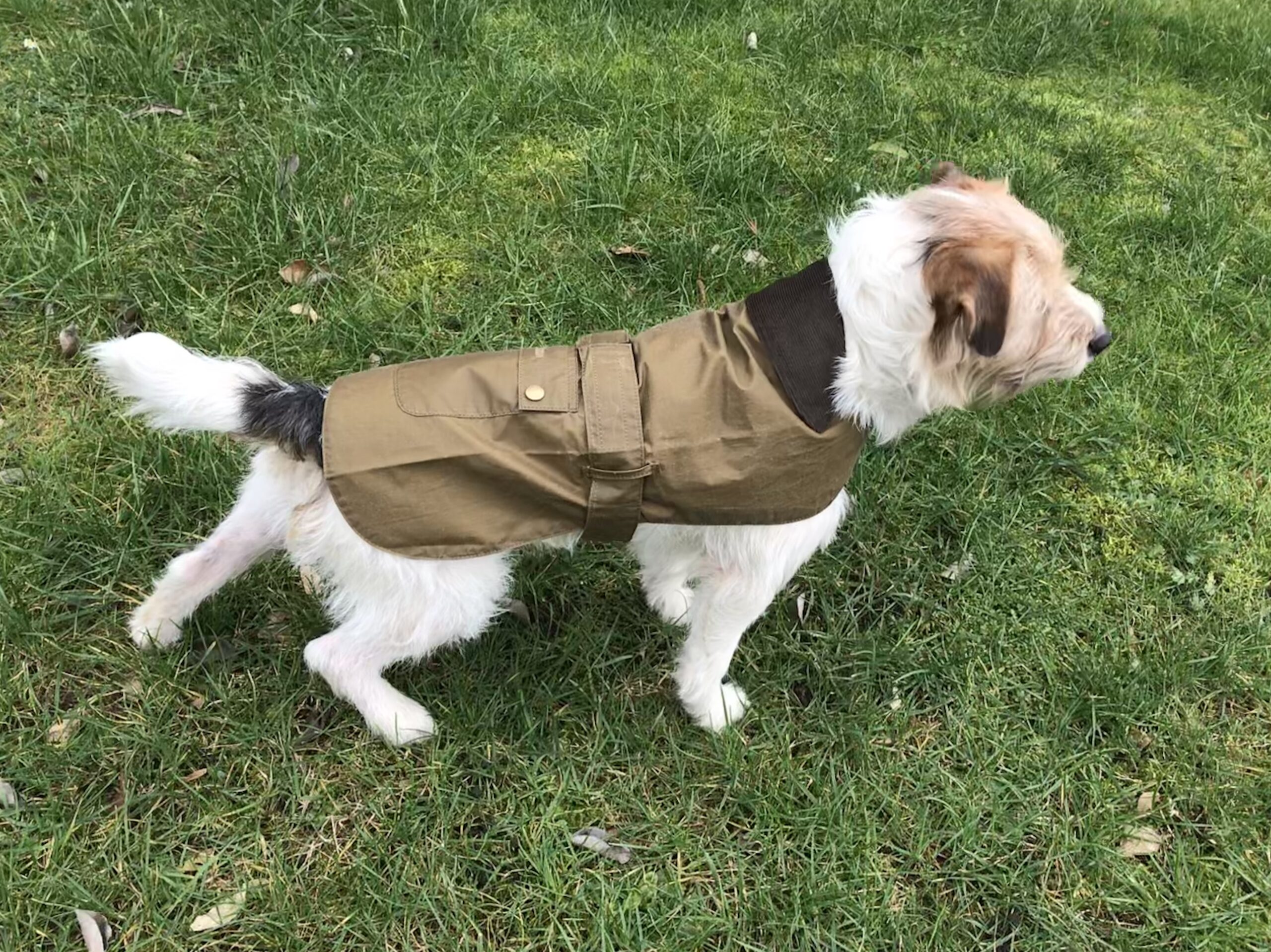 Barbour Hundemantel Lightweight Wax – Bild 3