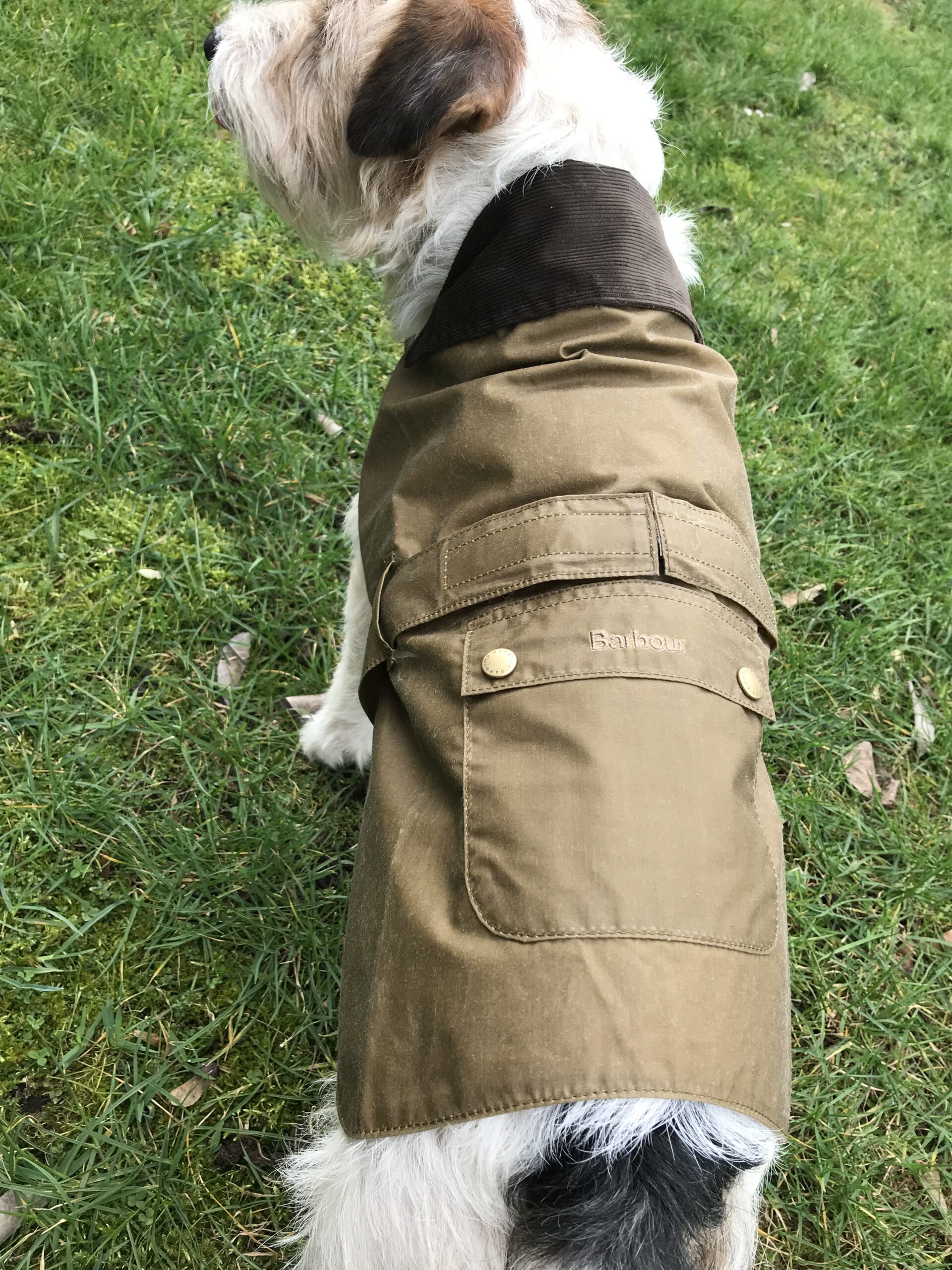 Barbour Hundemantel Lightweight Wax – Bild 4