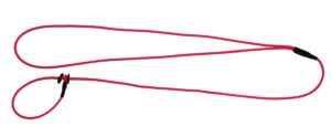 Biothane Biotarne Pirschleine 3m, Farbe Pink