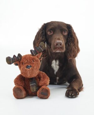 Barbour Hundespielzeug Rentier