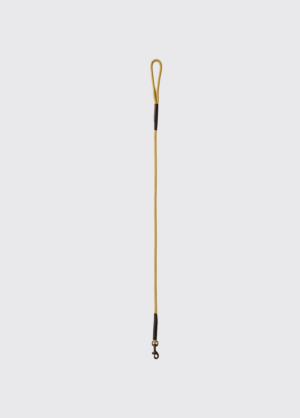 Dubarry Charlie Nylon-Hundeleine Gold