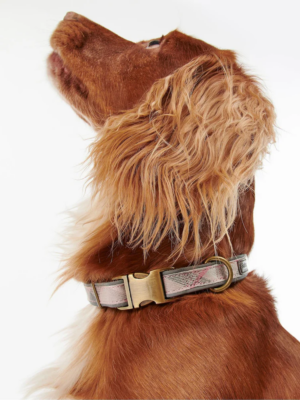 Barbour Halsband Reflective, Farbe Taupe/Pink Tartan